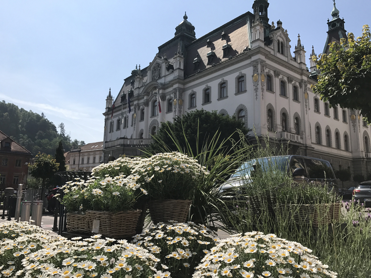 SLOVENYA – HIRVATİSTAN; Piran , Rovinj , Ljubljana , Bled